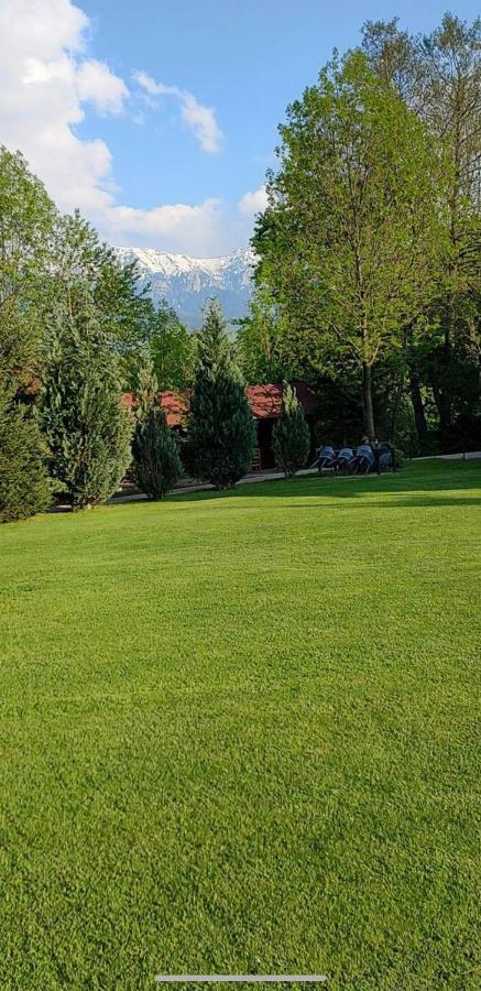 Hotel Garden Retreat (Adults Only) Bran  Zewnętrze zdjęcie